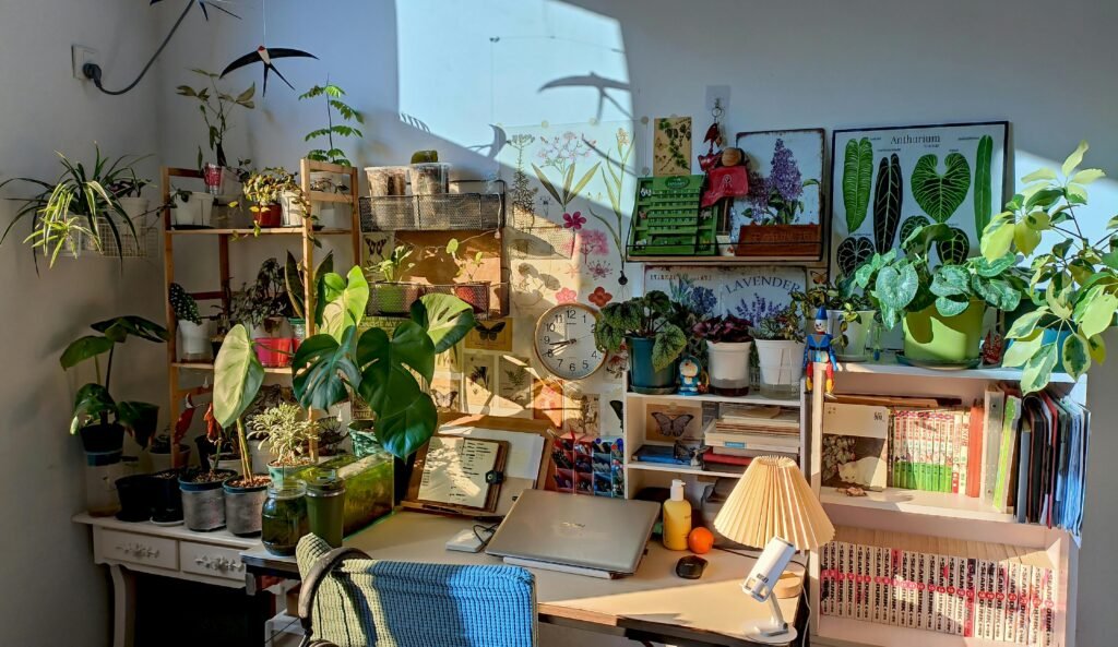 pexels f 2154796291 34601332